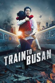 Train to Busan (2016) Dual Audio [Hindi-Korean] Blu-Ray – 480P | 720P | 1080P – x264 – 1.9GB | 950MB | 350MB ESub- Download